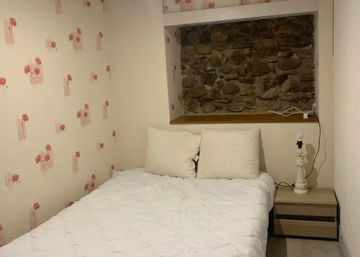 Hébergement de vacances Maison De Montagne 8 Couchages Aston